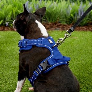 TrueLove -Pet Dog Harness